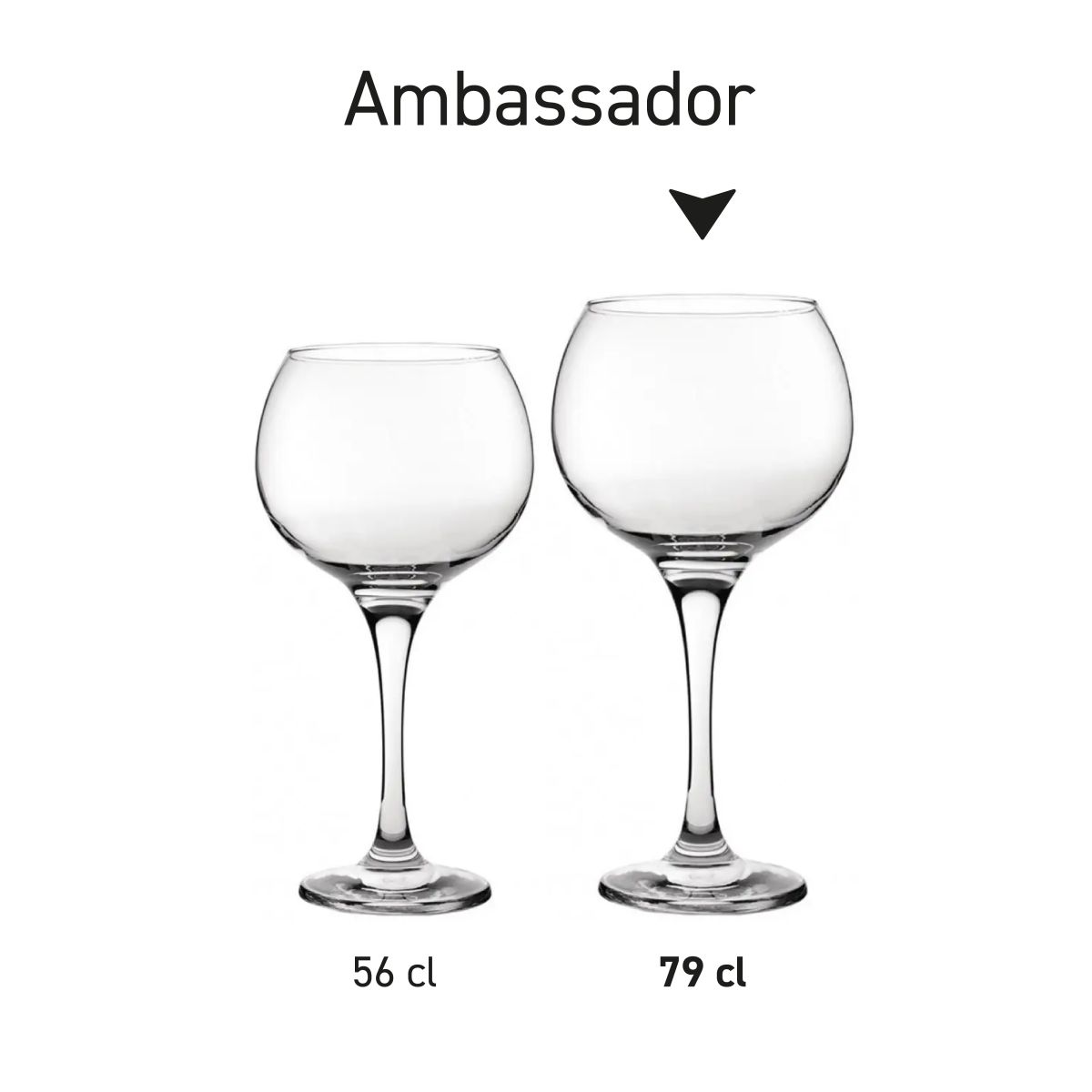 Seriebeeld van Gin Tonic glazen Ambassador 79 cl. met gelijke vormgeving en verschillende inhouden, getoond als productlijn.