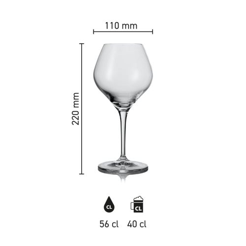 Infographic toont hoogte en diameter van het Amoron bierglas 56 cl. met maatinhouden.