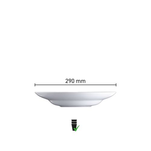 Afbeelding met afmetingen van porseleinen bord Isabelle 29 cm, weergegeven als infographic.