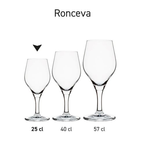 Serie Ronceva bierglazen gepresenteerd als set of productlijn.